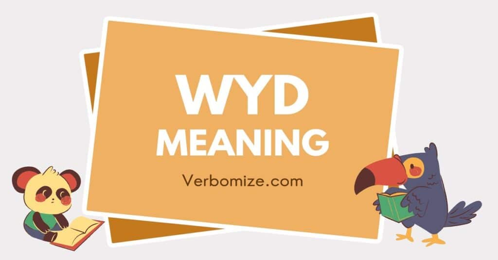 WYD Meaning